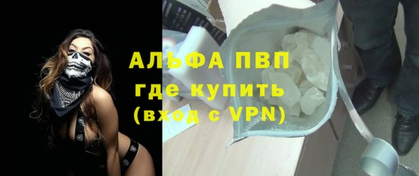 молекула духа Арсеньев