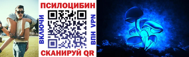 Галлюциногенные грибы Psilocybe  Мантурово 